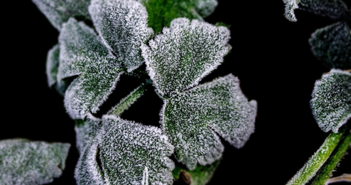 Турските земеделски производители се борят с последствията от изключително тежък