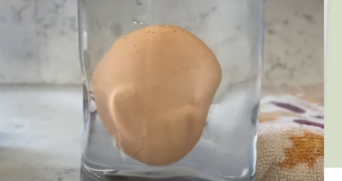 Яйцата са един от най употребяваните продукти в кухнята Те присъстват