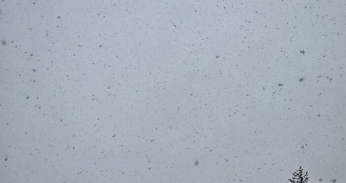 Петел бг илюстративнаНеобичаен за сезона сняг валя през уикенда в планинските