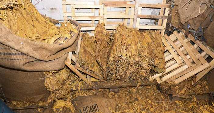 снимки пресцентър ОДМВР ВарнаПри проведена спецоперация в късните часове на вчерашния