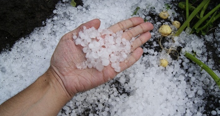 Най много пенсионери работят в Изпълнителна агенция Борба с градушките и