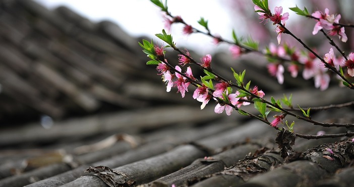 През нощта на Възкресение облачността над почти цялата страна ще