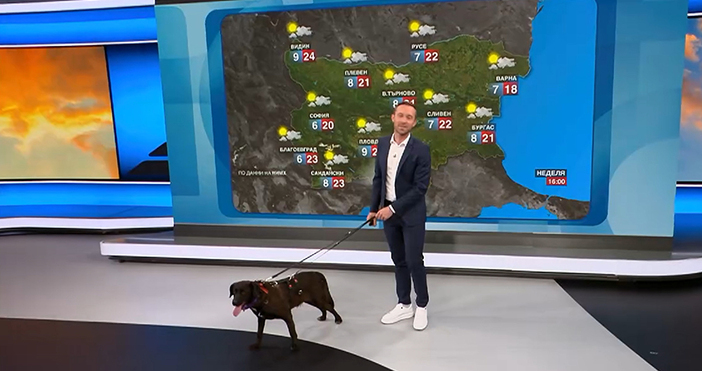 Мая Иванова Кадри Нова ТВСлав идва от Слатина от един