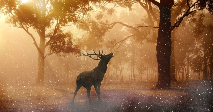 Интересна прогноза от Метео Балканс Изглежда че месец април ще бъде