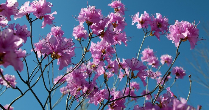 pixabay comДенят на Великден ще започне с намалена видимост в някои