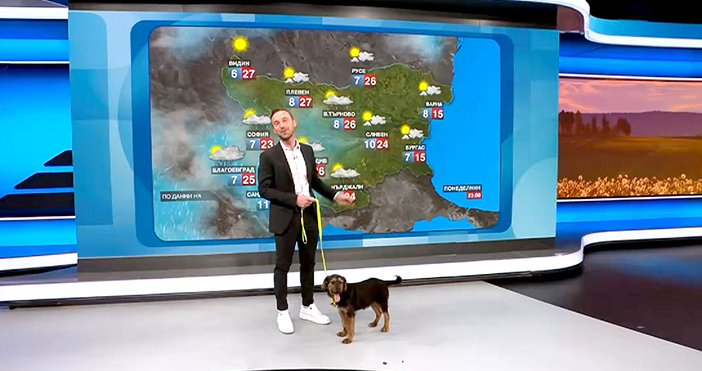 Мая Иванова Кадри Нова ТВСиноптикът Николай Василковски и партньорът му