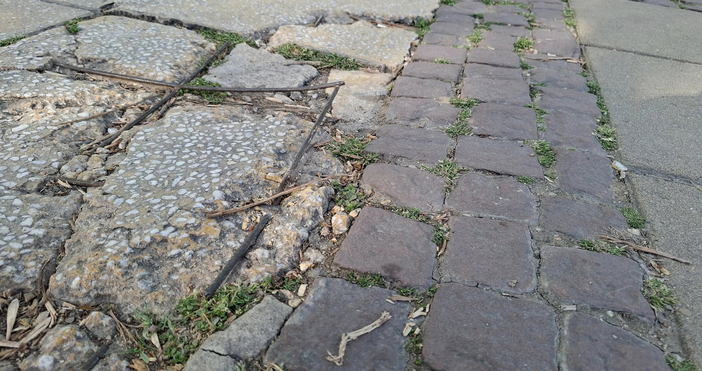 Снимки Фейсбук Забелязано във Варна М ДимитровКапан за негледащите постоянно