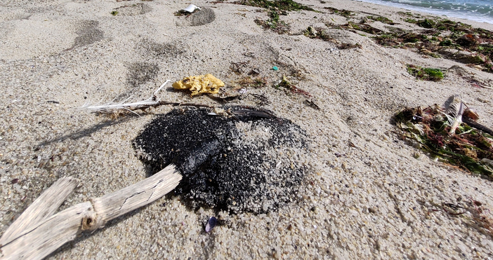 Снимки Фейсбук Забелязано във Варна Я СавовМазутът който се появи