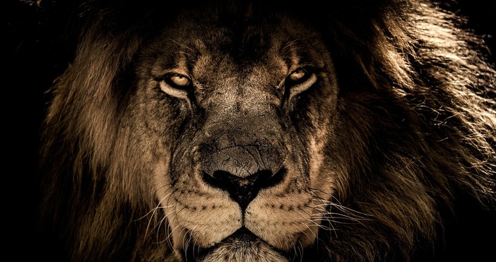 Марс най накрая напуска емоционалния знак Рак и след продължителен период