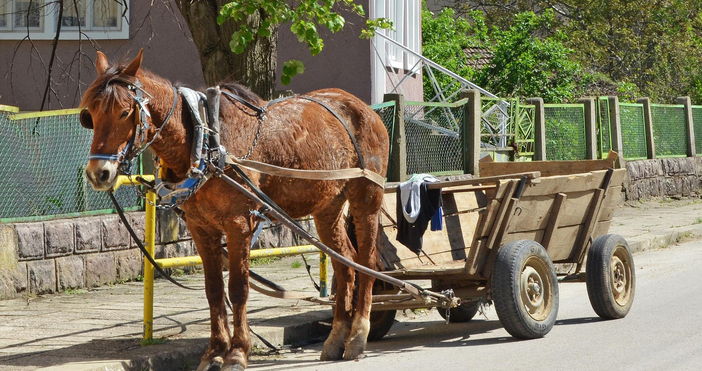 Двама мъже са пострадали при инцидент с каруца теглена от