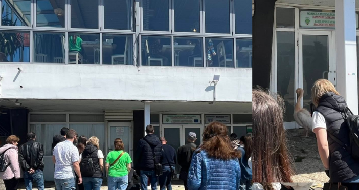 Гражданка обясни че това което се случва с пеликана Стойчо