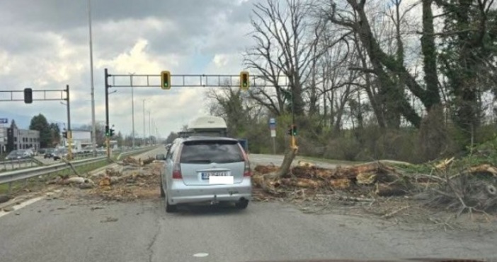 Паркът Врана загива и се превръща в джунгла обявиха от