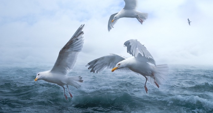 Днес преди обяд над по голямата част от страната ще преобладава