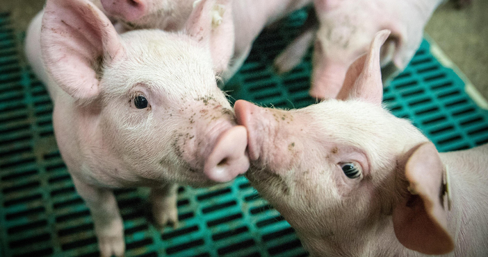 27 годишен мъж от квартал Меден рудник в Бургас познат вече