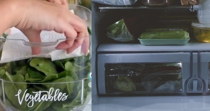 Запазването на храната може да ви спести стотици левове на