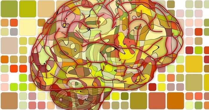 Турчин забрави турския и започна да говори датски след прекаран