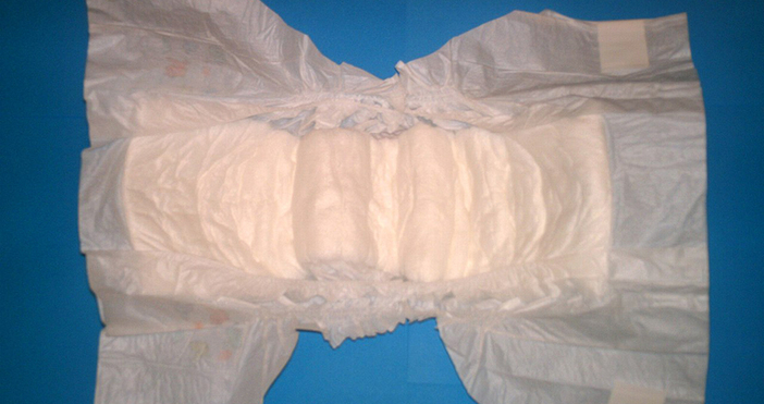 Мая Иванова Снимка УикипедияВсе повече стават хората в световен мащаб