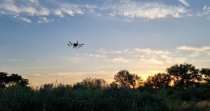 С дрон в Свищов ще се извърши ларвицидната обработка срещу