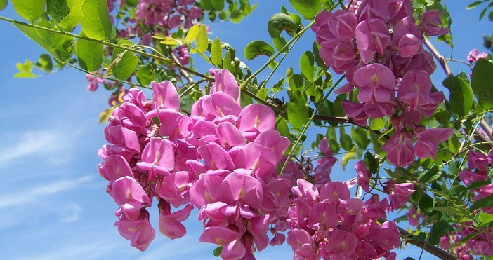 През нощта ще е ясно и почти тихо Утрото ще