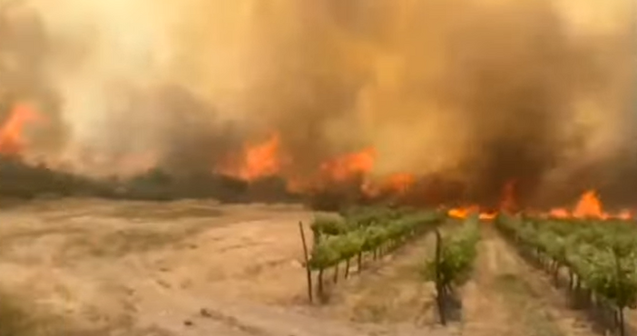 Кадри Youtube XИзраелската полиция затвори главния път между Ерусалим и