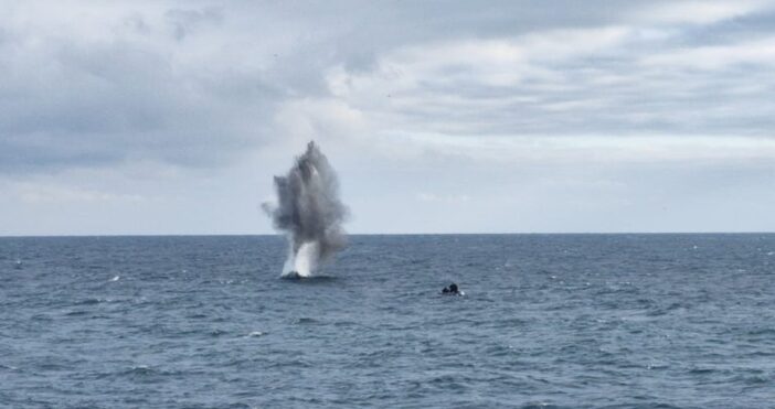 Преди дни в района на Шабла близо до брега е