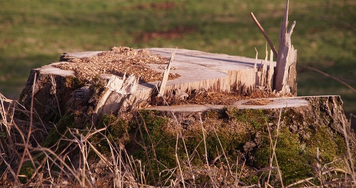 Жителите на село Приселци ще продължат протестите си в знак