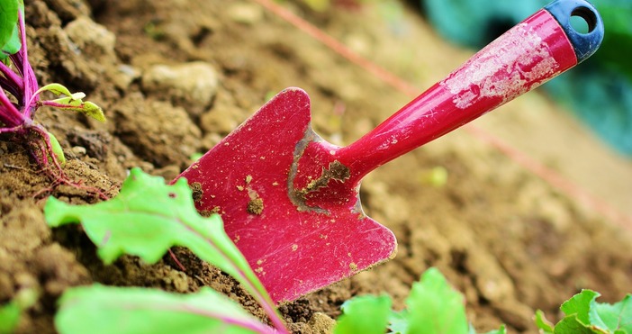 Как може да има толкова много работа а безработните да