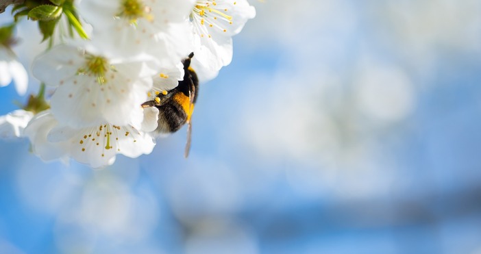 В четвъртък – 1 май времето ще е предимно слънчево