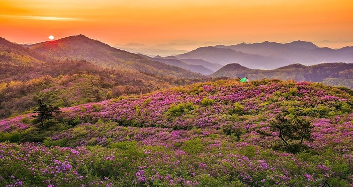 През нощта над цялата страна ще бъде предимно ясно В