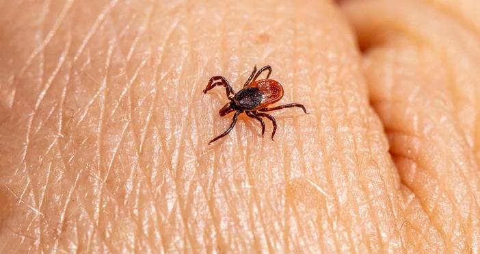 Средно по четирима на ден са търсили помощ от лекар