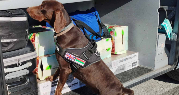 Снимки Агенция Митници При сканиране с рентген и със специално обучено