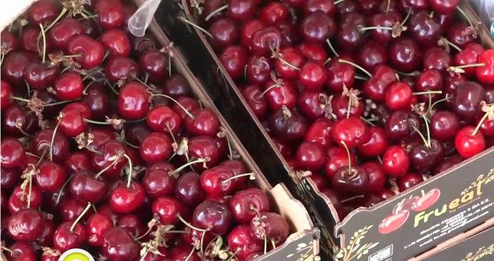 кадри Нова твЦената на черешите удари истински рекорд 50