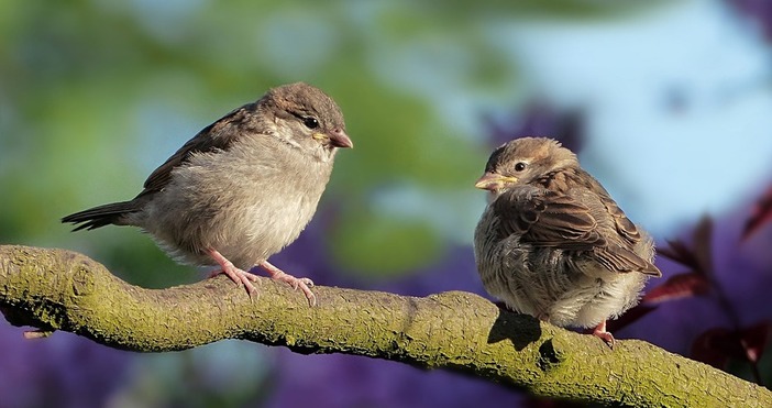 За девета поредна година у нас се провежда кампанията на