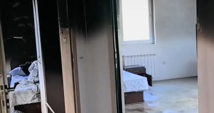 Петел следи какво се случва с жената която пострада в дом за