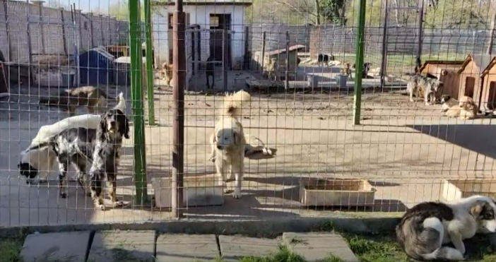 Там няма лукс Няма пухкави легла няма играчки Това е