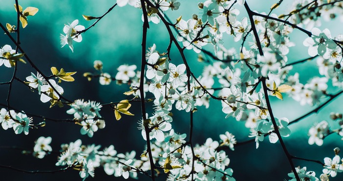 Днес ще преобладава слънчево време Атмосферното налягане ще се задържи