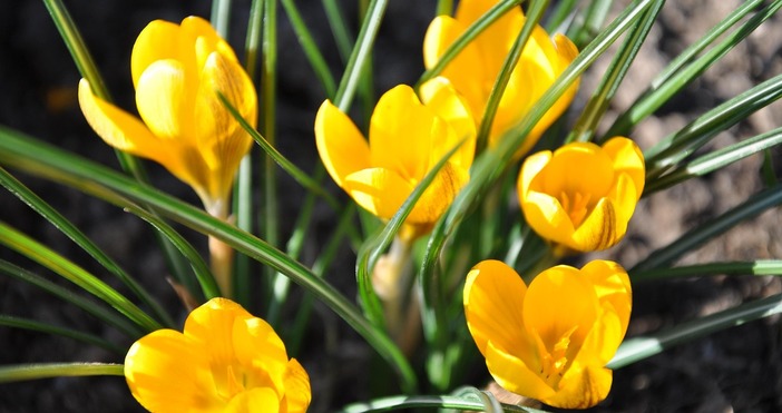 През нощта над по голямата част от страната ще е предимно