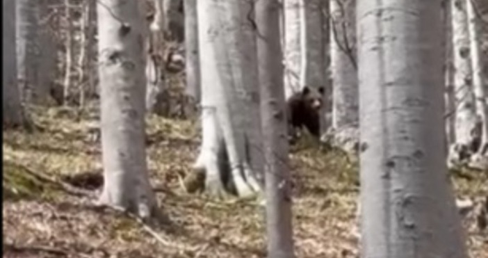 илюстрация  Knews bg архив12 проверки за установяване на щети върху селскостопанско имущество или