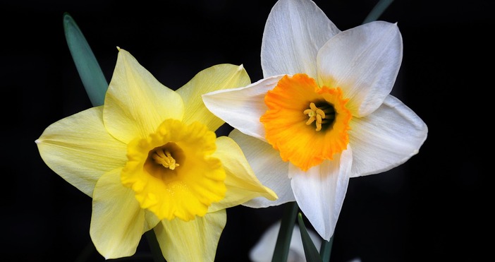 През нощна над Южна България облачността ще е значителна купеста