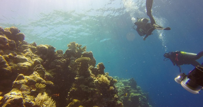 Сдружение с нестопанска цел Приятели на морето – Бургас постави