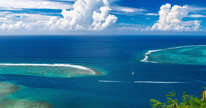 Снимки Според ООН над 90 от световните рибни запаси са