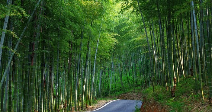 През нощта срещу четвъртък на места над планинските райони от