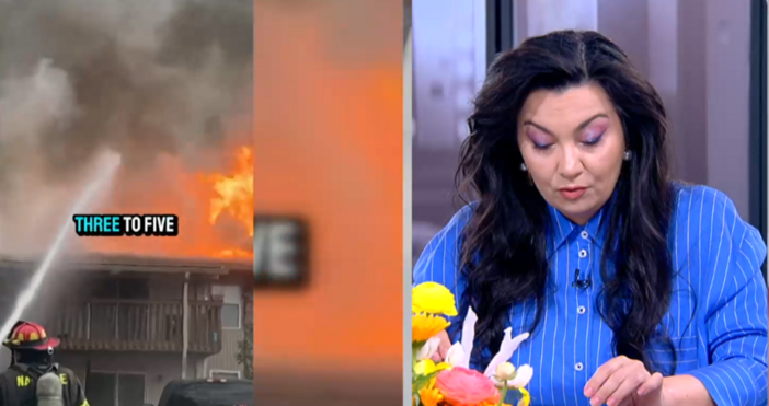 Оля Малинова изнесе притеснителна статистика за опасността от пожари в