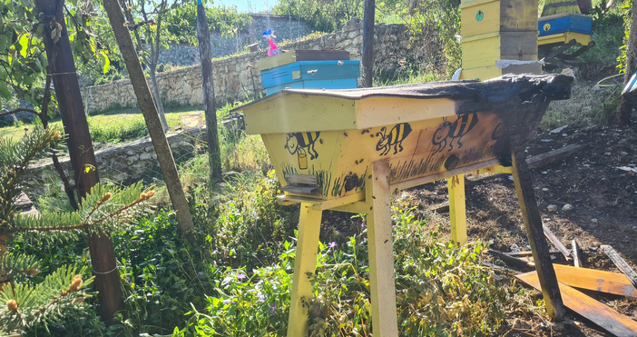 Голям пожар изпепели значителна част от пчелното стопанство на семейство