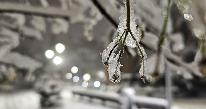 Сняг валя днес в Пампорово и в района на Рожен
