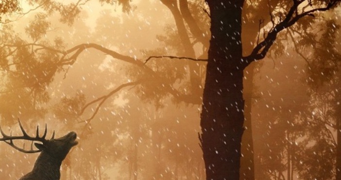 Преди полунощ в Централна и Югоизточна България все още ще