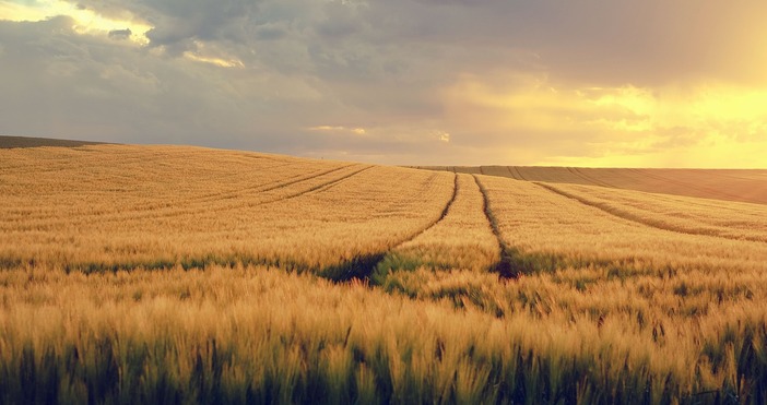 Точно около 24 май ще бъде топло  Според проф Георги Рачев