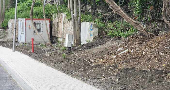 Изключително любопитна гледка при разчистването на заведения на крайбрежната алея