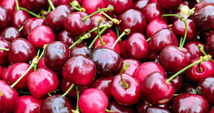 Само две села в района на Коняво и Таваличево