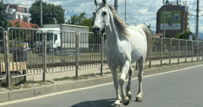 Кадрите доведоха до разнопосочни коментари някои от тях хумористични но